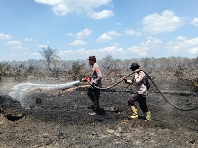 
					Pemilik Lahan Ditangkap Polisi, Tujuh Hektare Sawit Terbakar