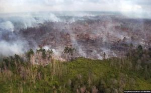 MKG: 251 Hotspot Terdeteksi, Riau Masuk Zona Waspada Karhutla