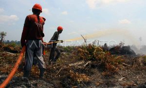 Hadapi Kemarau, Ahli Lingkungan Universitas Riau Ingatkan Dua Kunci Antisipasi Kebakaran Hutan dan Lahan