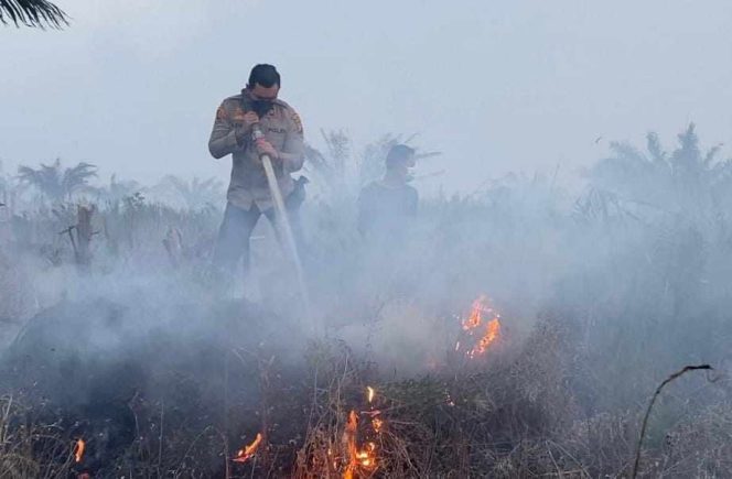 
					Riau Kembali Dilanda Karhutla, 182 Hektare Lahan Ludes Terbakar