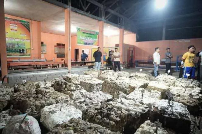 
					Pecahkan Rekor Dua Dekade, Harga Karet di Kuantan Singingi Tembus Rp20.459 per Kilogram